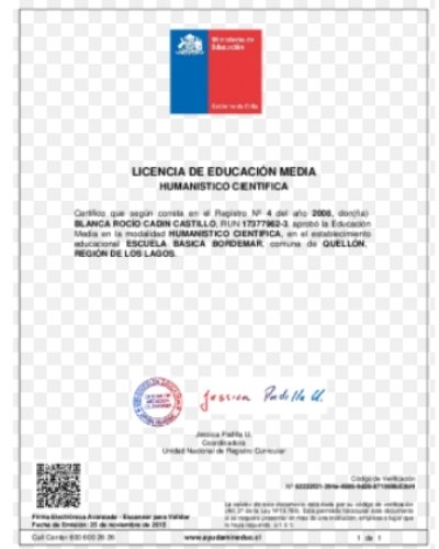 licencia de educación media