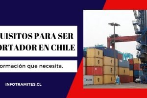Requisitos para ser importador en Chile
